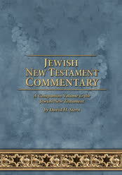 Jewish New Testament Commentary: A Companion Volume to the Jewish New Testament book cover